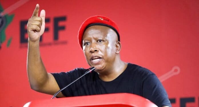 EFF leader Julius Malema.